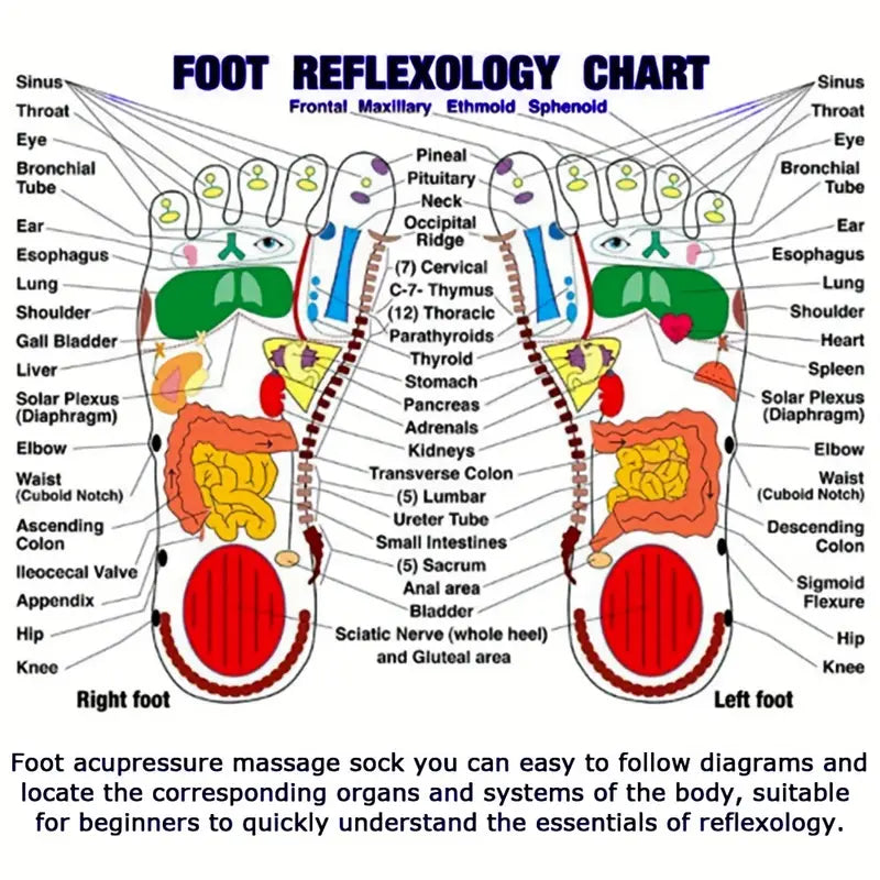 AcuSocks ™ Reflexology Chart Socks