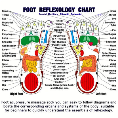 AcuSocks ™ Reflexology Chart Socks