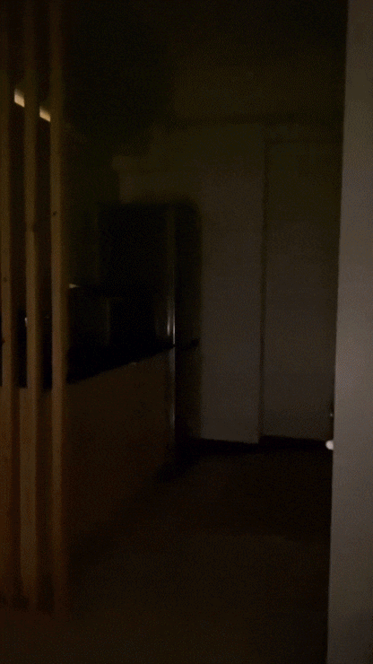 Feelflex™- Multipurpose Motion Sensor Lights - wireless